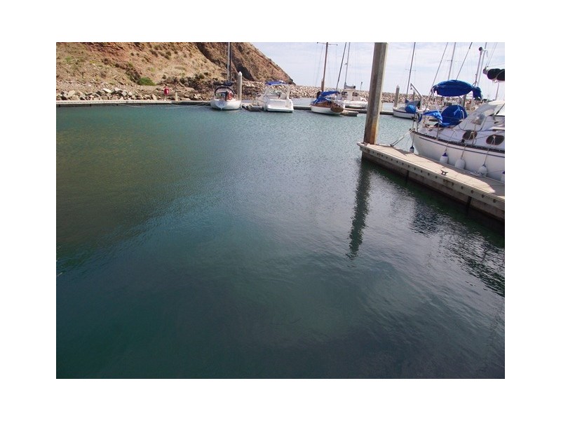 Berth D48 Marina Avenue, Wirrina Cove SA 5204