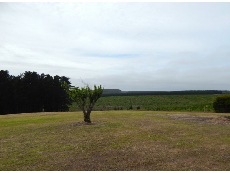 Lot 116, 133 Cole Road, Delamere SA 5204