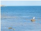 Lot 14, 15, 7C & 7B Tabernacle Road, Encounter Bay SA 5211