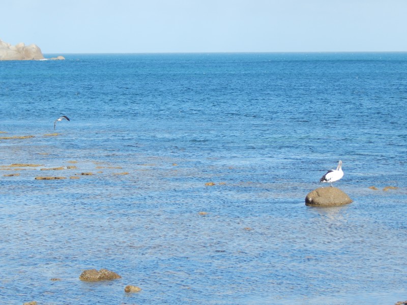 Lot 14, 15, 7C & 7B Tabernacle Road, Encounter Bay SA 5211