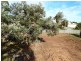 Lot 68, 9 Clarke Street, Normanville SA 5204