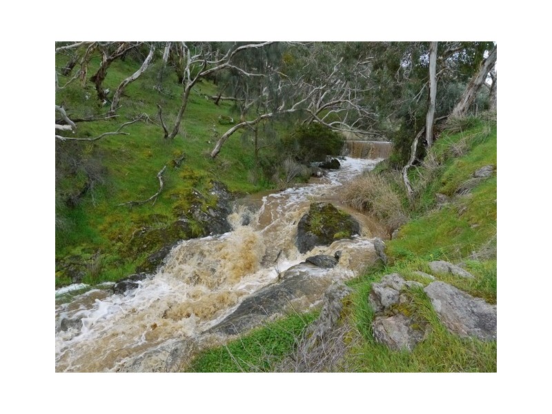 Lot 149, 51 Marion Road, Yankalilla SA 5203