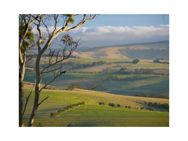 Lot 149, 51 Marion Road, Yankalilla SA 5203