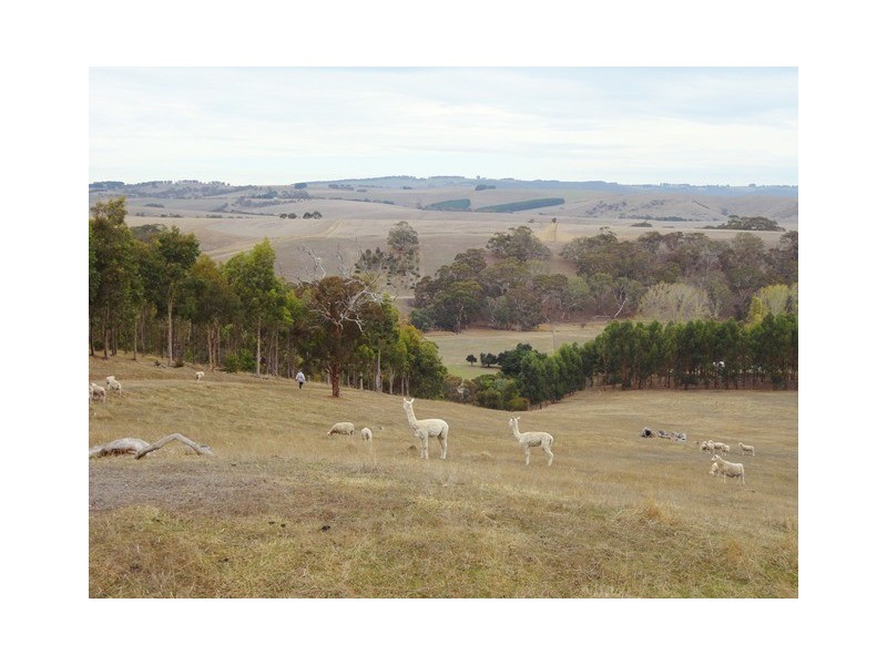 Lot 149, 51 Marion Road, Yankalilla SA 5203