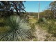 Lot 319, 33 Range West Road, Silverton SA 5204