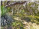 Lot 319, 33 Range West Road, Silverton SA 5204