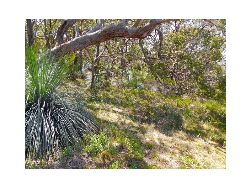 Lot 319, 33 Range West Road, Silverton SA 5204