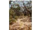 Lot 319, 33 Range West Road, Silverton SA 5204