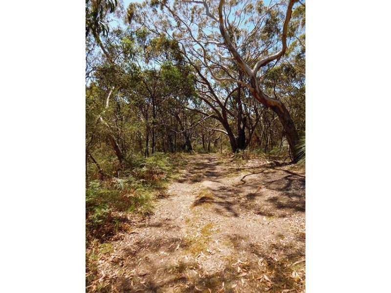 Lot 319, 33 Range West Road, Silverton SA 5204