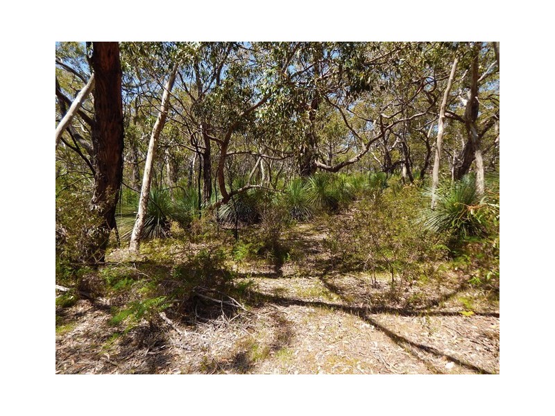 Lot 319, 33 Range West Road, Silverton SA 5204