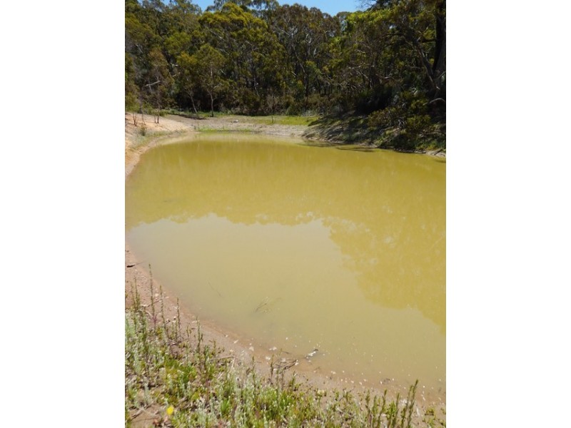Lot 319, 33 Range West Road, Silverton SA 5204