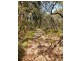 Lot 319, 33 Range West Road, Silverton SA 5204
