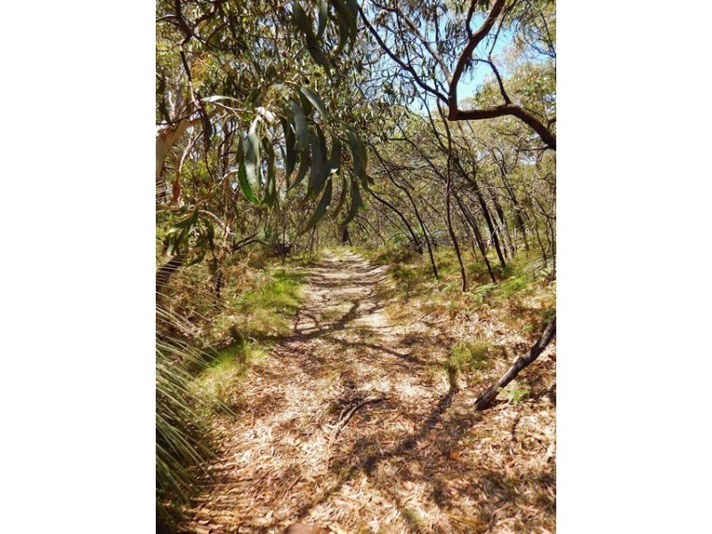 Lot 319, 33 Range West Road, Silverton SA 5204