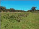 Lot 319, 33 Range West Road, Silverton SA 5204