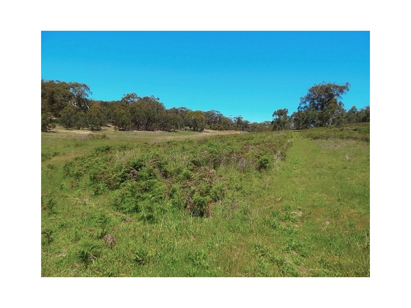 Lot 319, 33 Range West Road, Silverton SA 5204