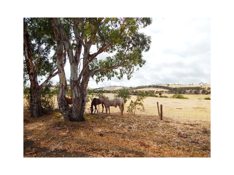 14 Carrickalinga Road, Carrickalinga SA 5204