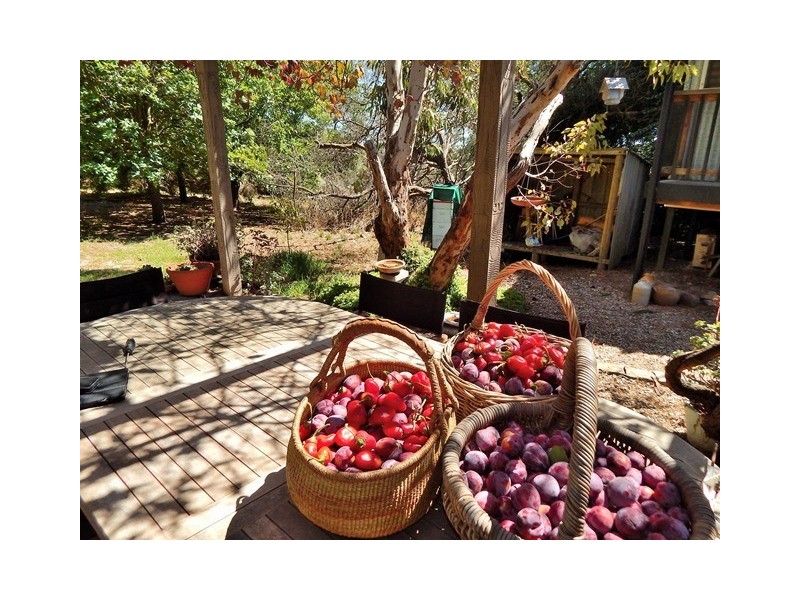 8864 Main South Road, Cape Jervis SA 5204