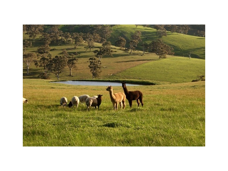 8864 Main South Road, Cape Jervis SA 5204