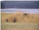 Lot 37, 45 Verde Dr, Myponga SA 5202