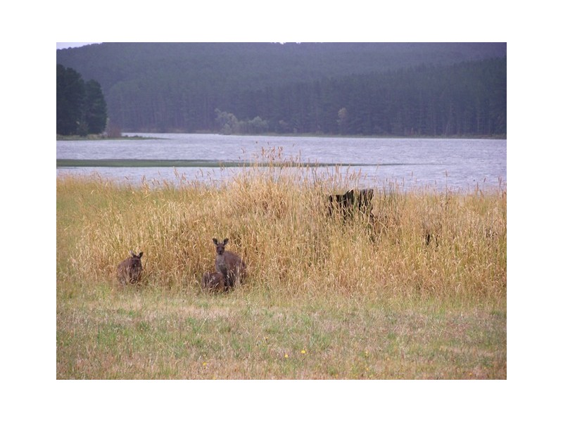 Lot 37, 45 Verde Dr, Myponga SA 5202