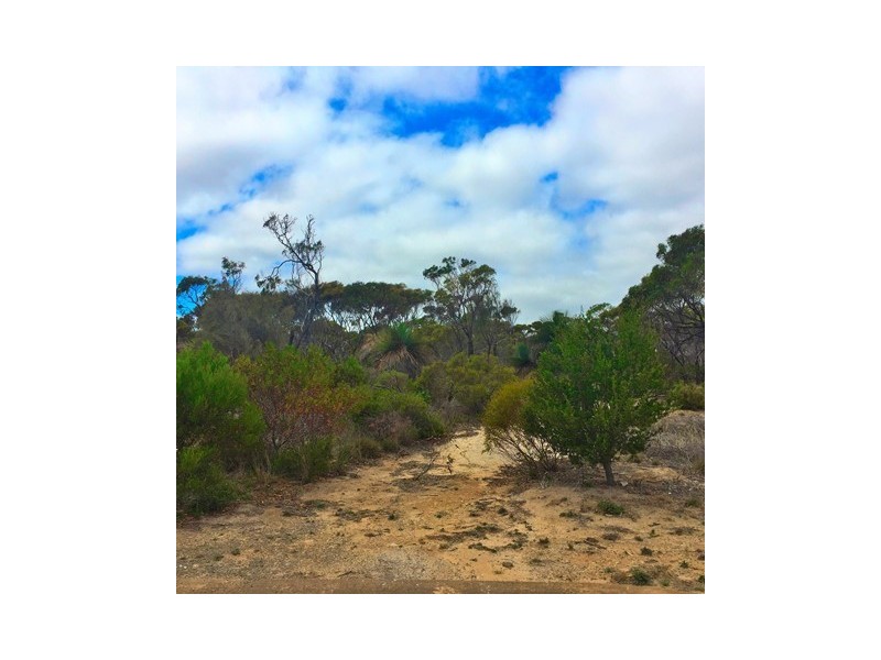 Lot 104,  Para Avenue, Cape Jervis SA 5204