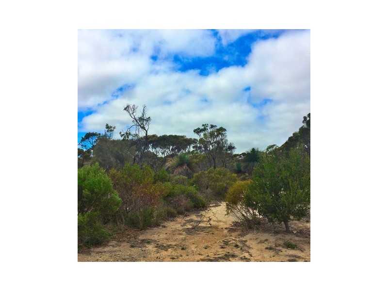 Lot 104,  Para Avenue, Cape Jervis SA 5204