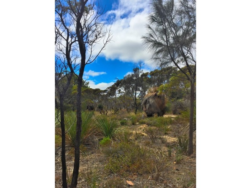 Lot 104,  Para Avenue, Cape Jervis SA 5204