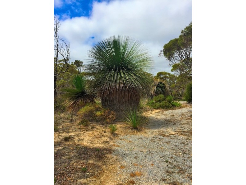 Lot 104,  Para Avenue, Cape Jervis SA 5204