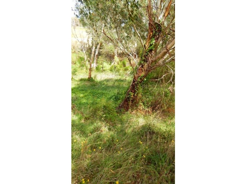 Lot 367, 6 Bedlam Flat Road, Delamere SA 5204