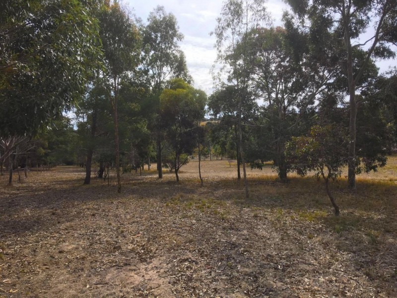 Lot 17 Martin Road, Yankalilla SA 5203