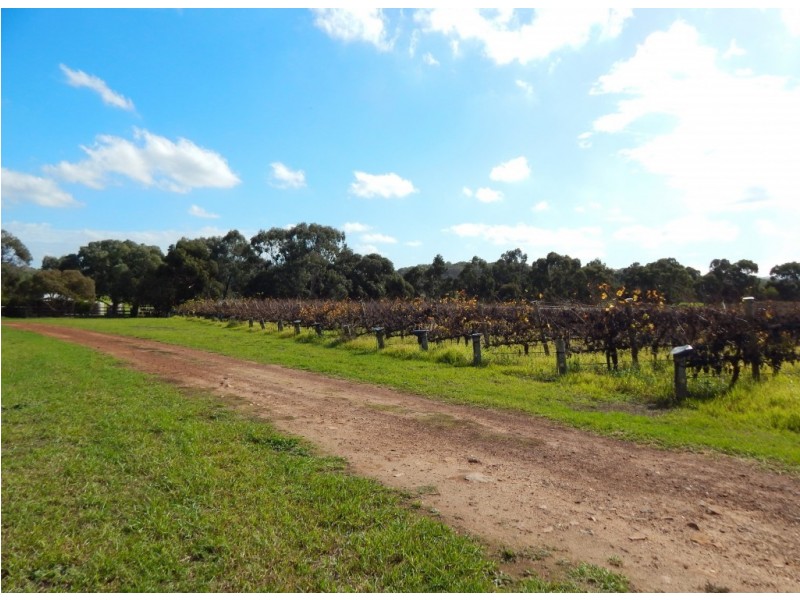 963 Cleland Gully Road, Tooperang SA 5255