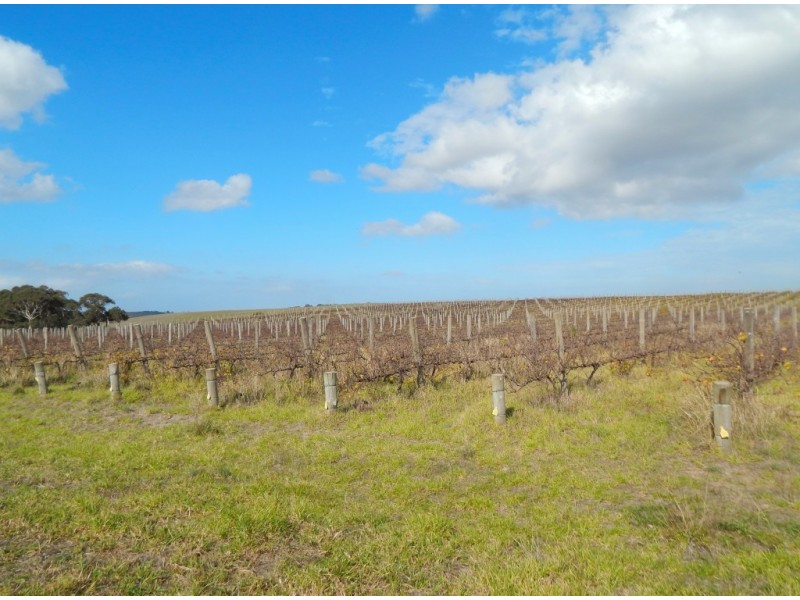 963 Cleland Gully Road, Tooperang SA 5255
