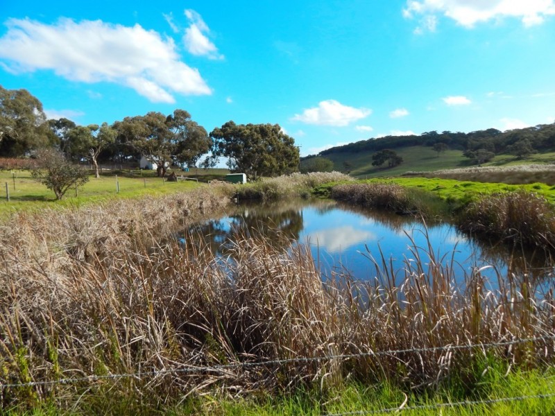 963 Cleland Gully Road, Tooperang SA 5255