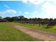 963 Cleland Gully Rd, Tooperang SA 5255