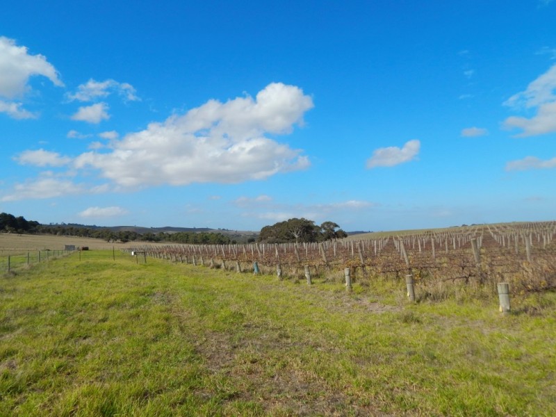 963 Cleland Gully Rd, Tooperang SA 5255