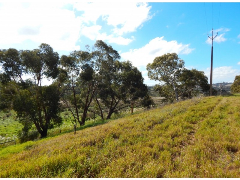 963 Cleland Gully Rd, Tooperang SA 5255