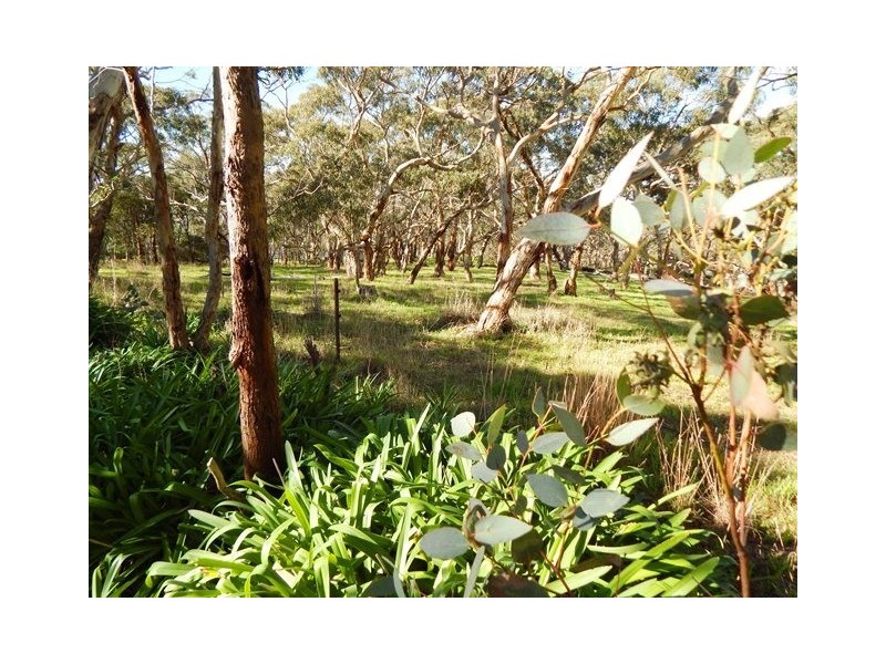 284 Bald Hills Rd, Yankalilla SA 5203