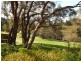 114 Taylor Road, Tunkalilla SA 5203