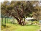 114 Taylor Road, Tunkalilla SA 5203