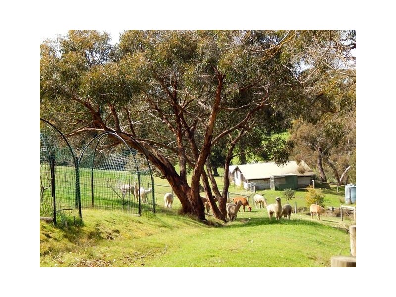 114 Taylor Road, Tunkalilla SA 5203