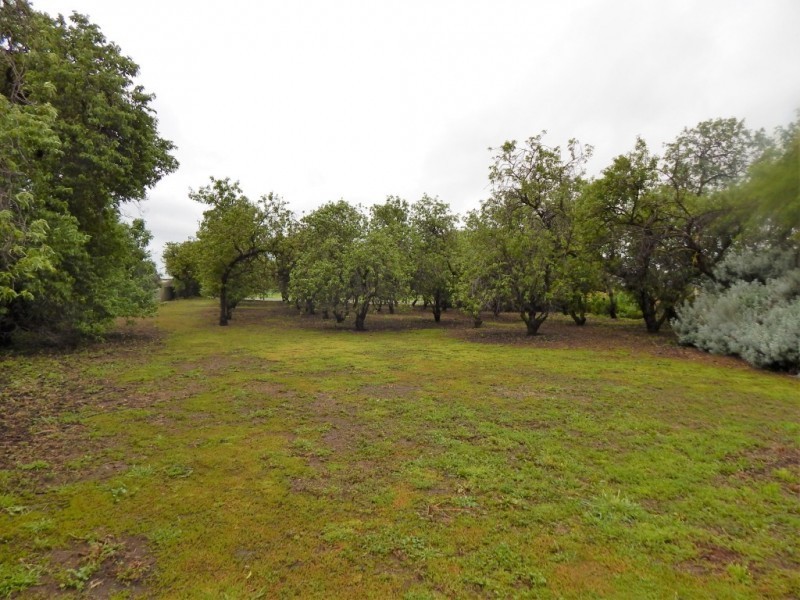 7 Jetty Road, Normanville SA 5204