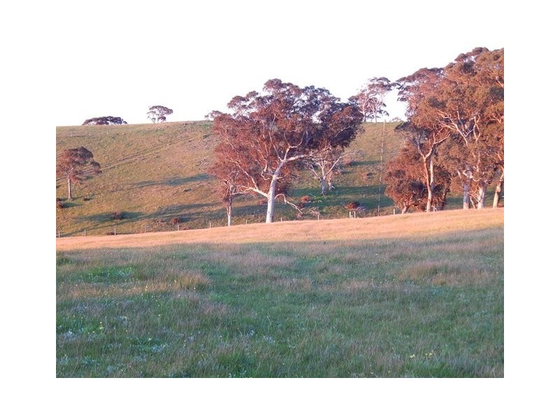 Pcs 15, 16 Bedlam Flat Road, Delamere SA 5204