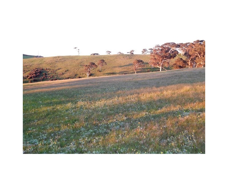 Pcs 15, 16 Bedlam Flat Road, Delamere SA 5204