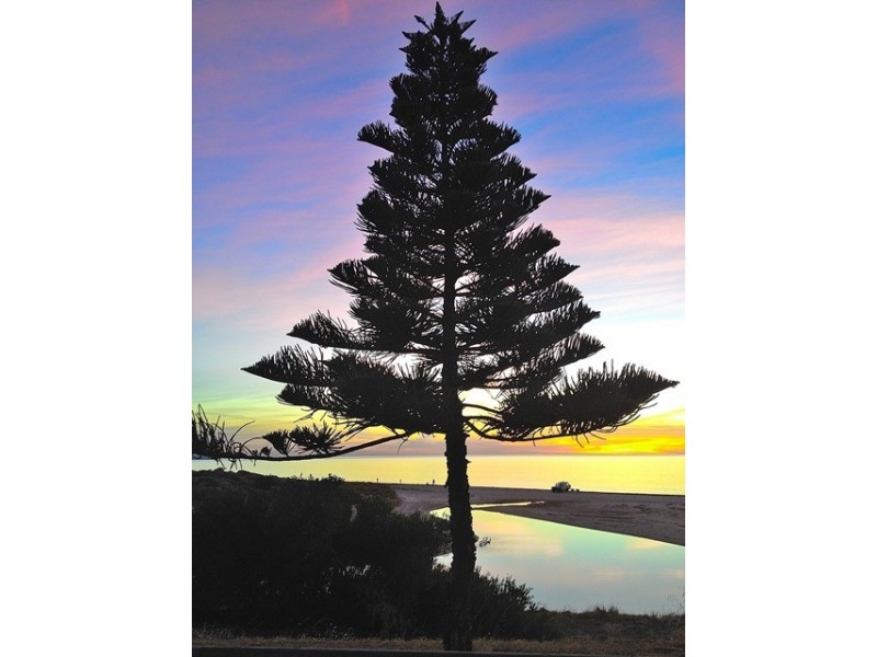 Lot 210 to 223, 55 The Vines Drive, Normanville SA 5204