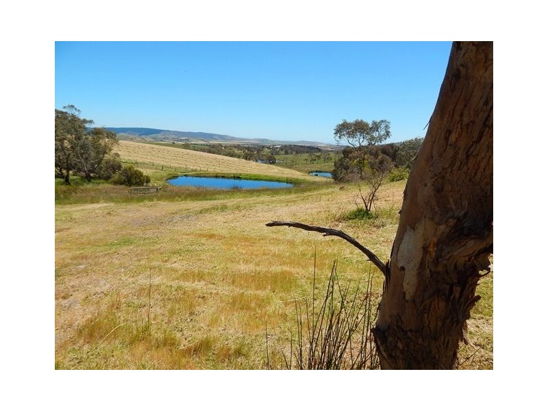 323 Bald Hills Rd, Bald Hills SA 5203