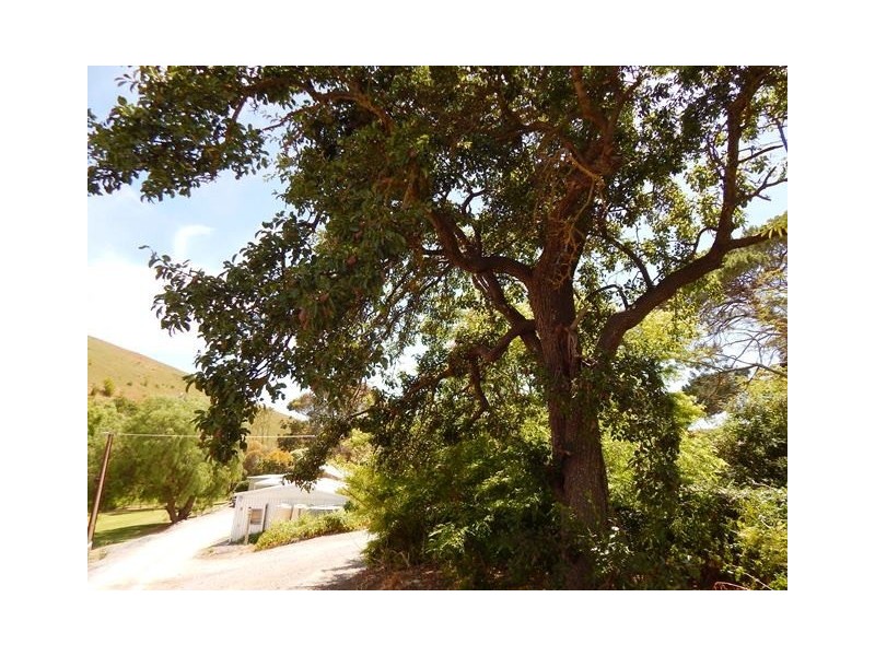 8570 Main South Road, Delamere SA 5204
