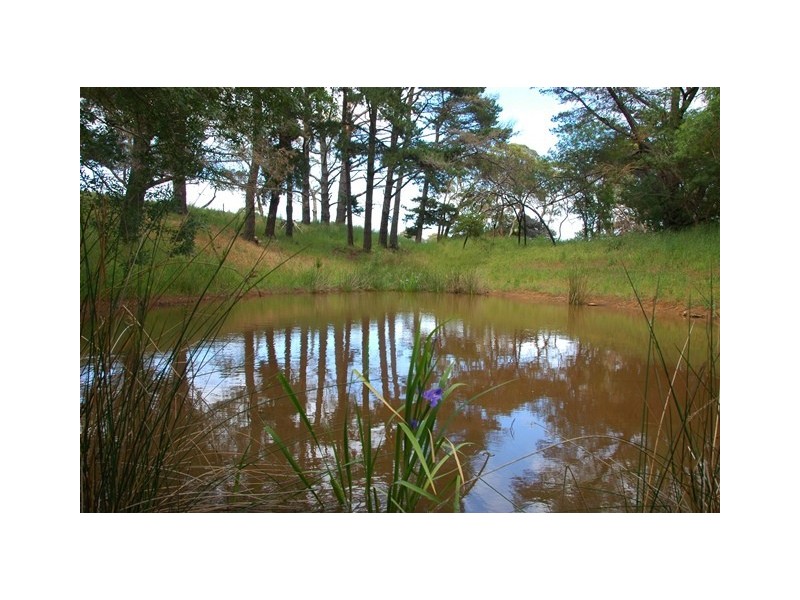 109 Bowmans Road via Silverton, Delamere SA 5204