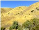 67 Elizabeth Crescent, Carrickalinga SA 5204