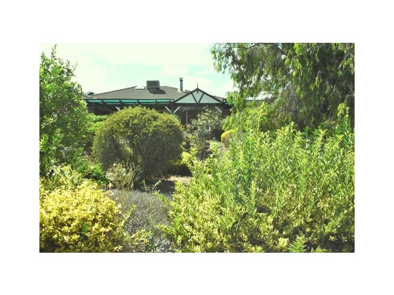 6 Merino Avenue, Carrickalinga SA 5204