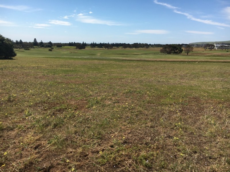 Lot 1,  The Vines Drive, Normanville SA 5204